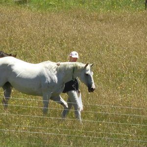 Meet your Posher, Krysten